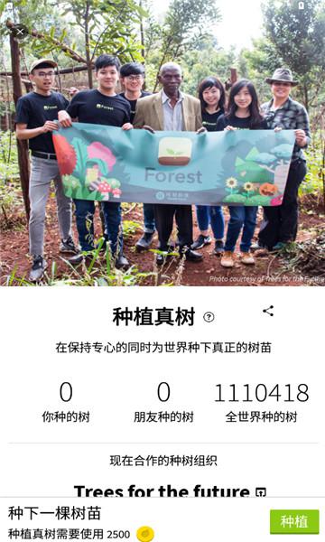 forest专注森林无限金币专业版