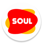 灵魂浏览器最新手机国际版下载(soul browser)