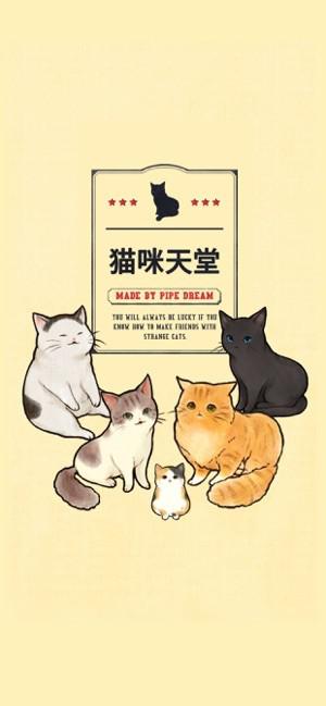 猫咪天堂