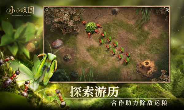 小小蚁国国际版下载(The Ants)