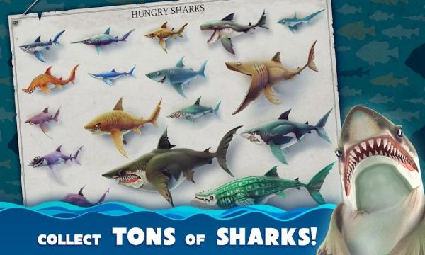 饥饿鲨世界国际服最新版本2024(Hungry Shark)